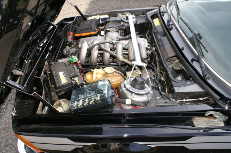 pict3200.jpg, 31.08.2008, 108 kB